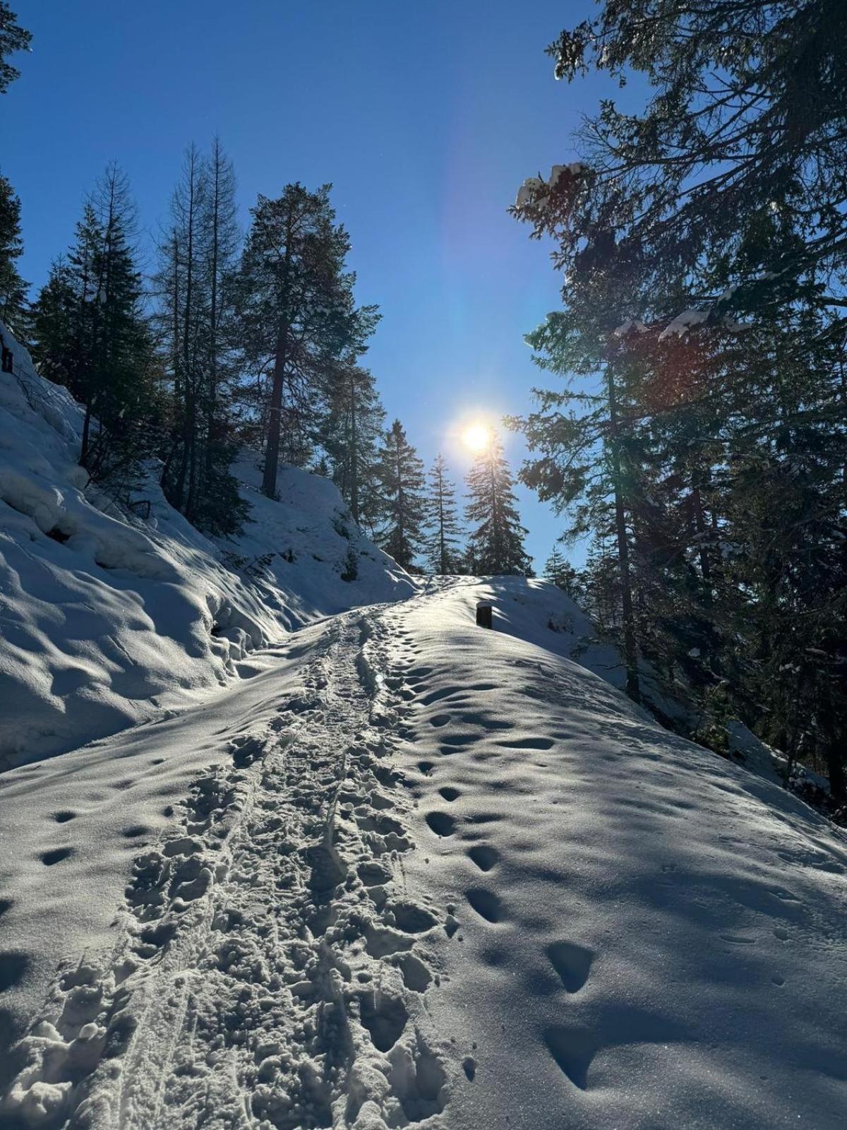 Alpenlandhaus Menardi Seefeld in Tirol Kültér fotó