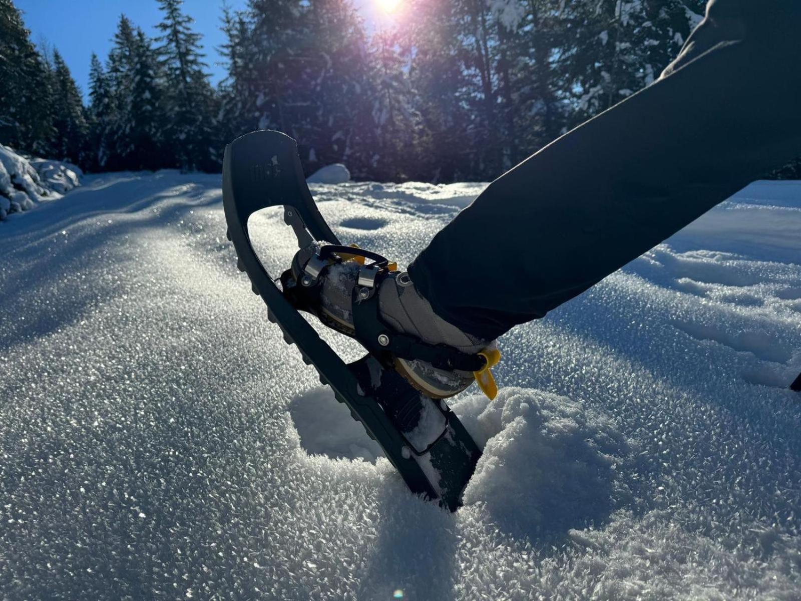 Alpenlandhaus Menardi Seefeld in Tirol Kültér fotó