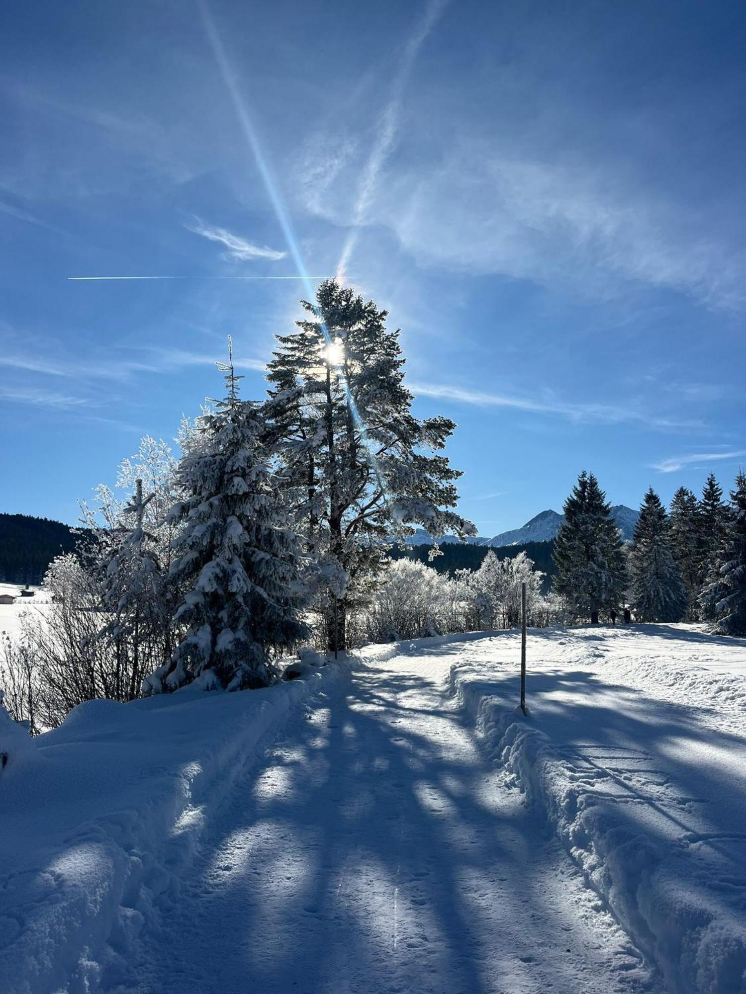 Alpenlandhaus Menardi Seefeld in Tirol Kültér fotó